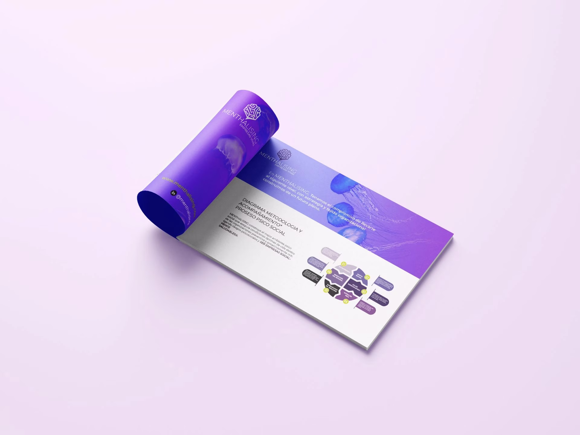 Servicios de branding y diseñoBrochure-3