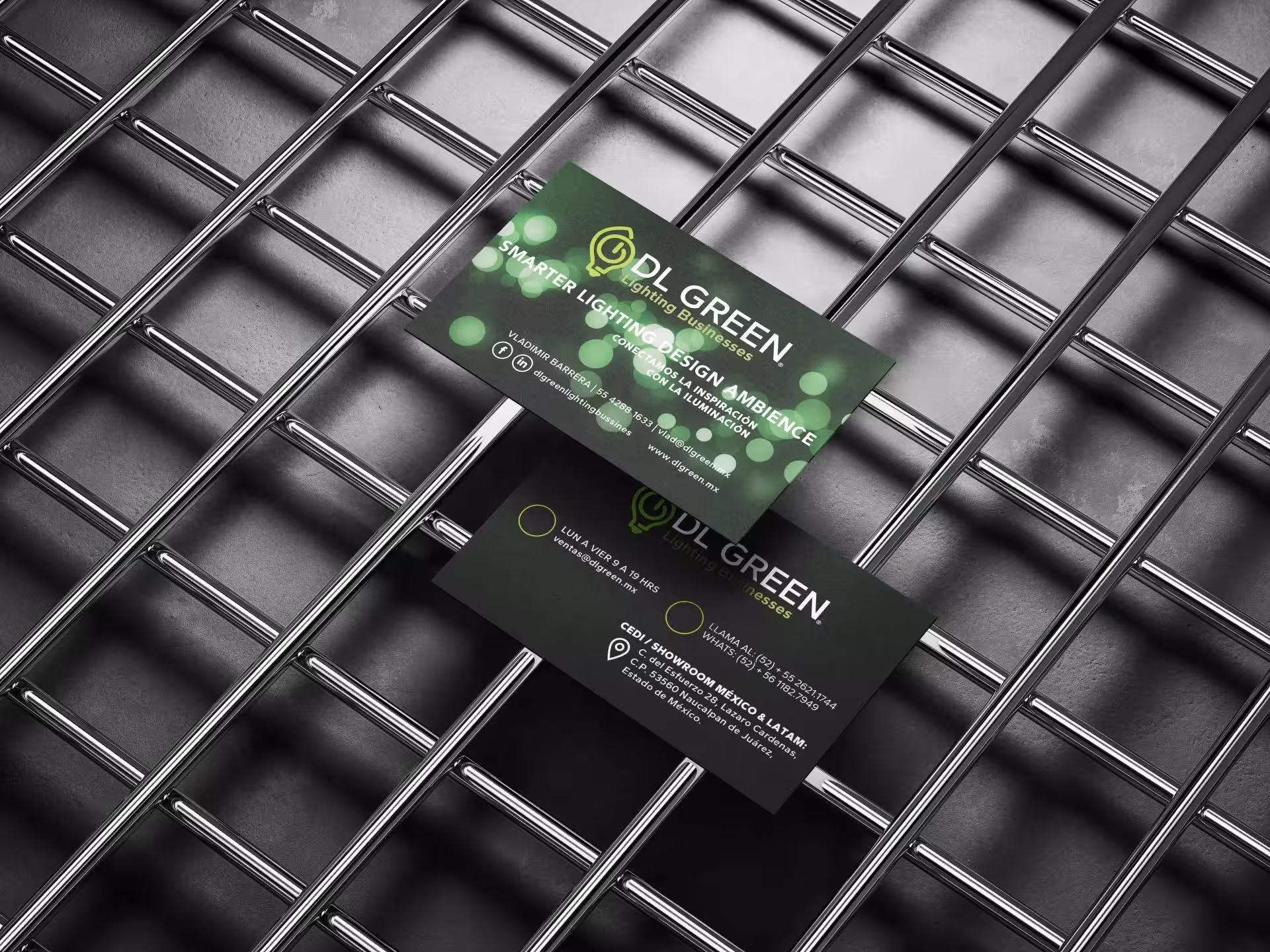 branding para empresas -dlgreen3