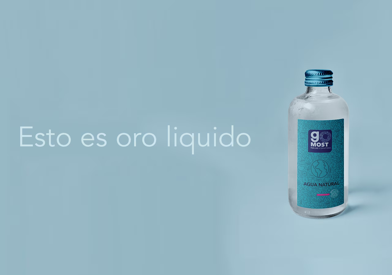 brandingmx_agencia_diseno_packaging_gomost