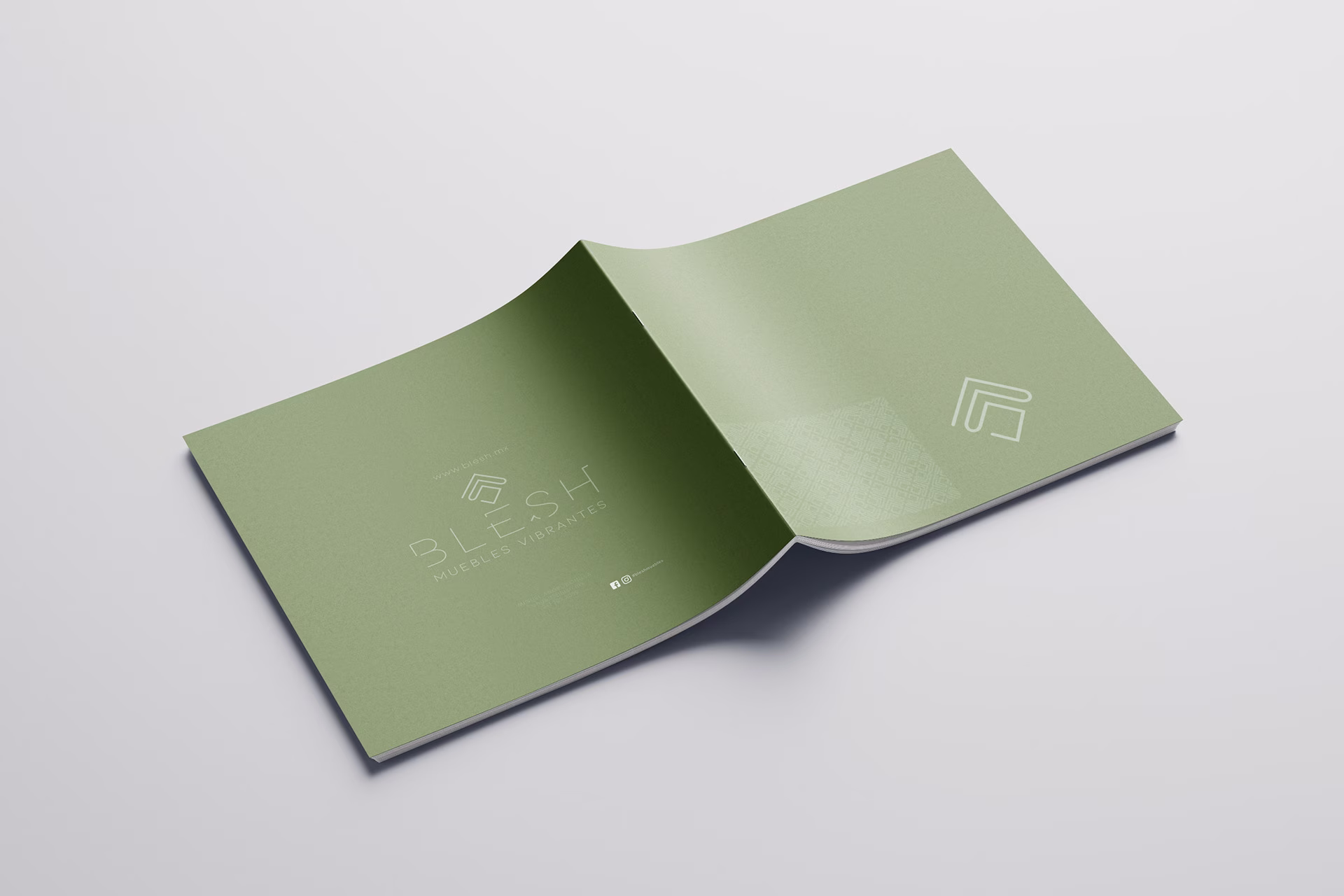 brandingmx_agencia_diseno_producto_blesh