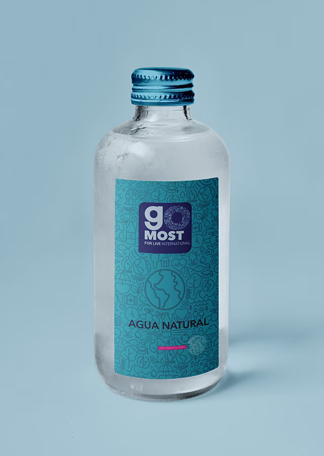 brandingmx_agencia_diseno_producto_gomost