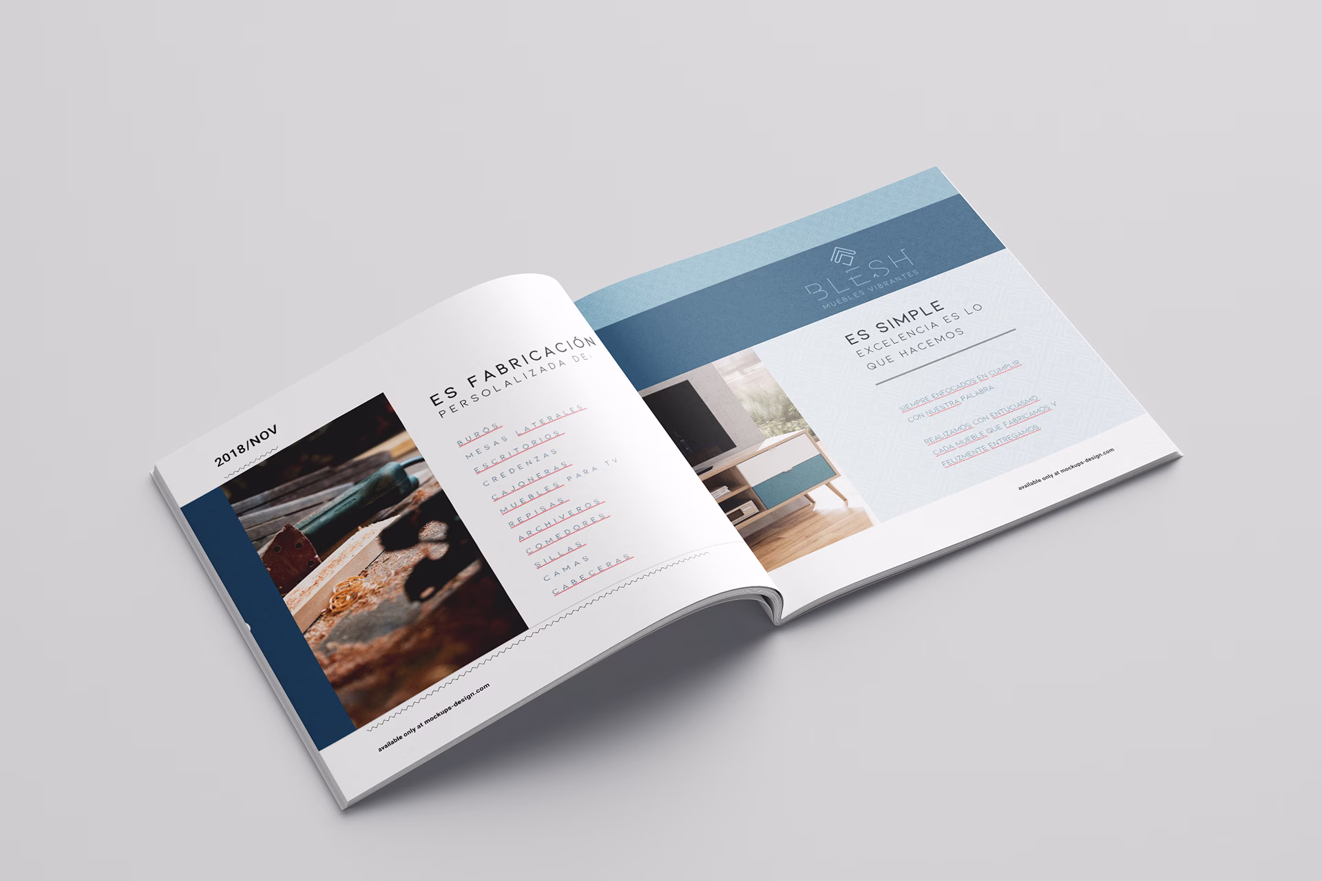 brandingmx_agencia_marketing_blesh