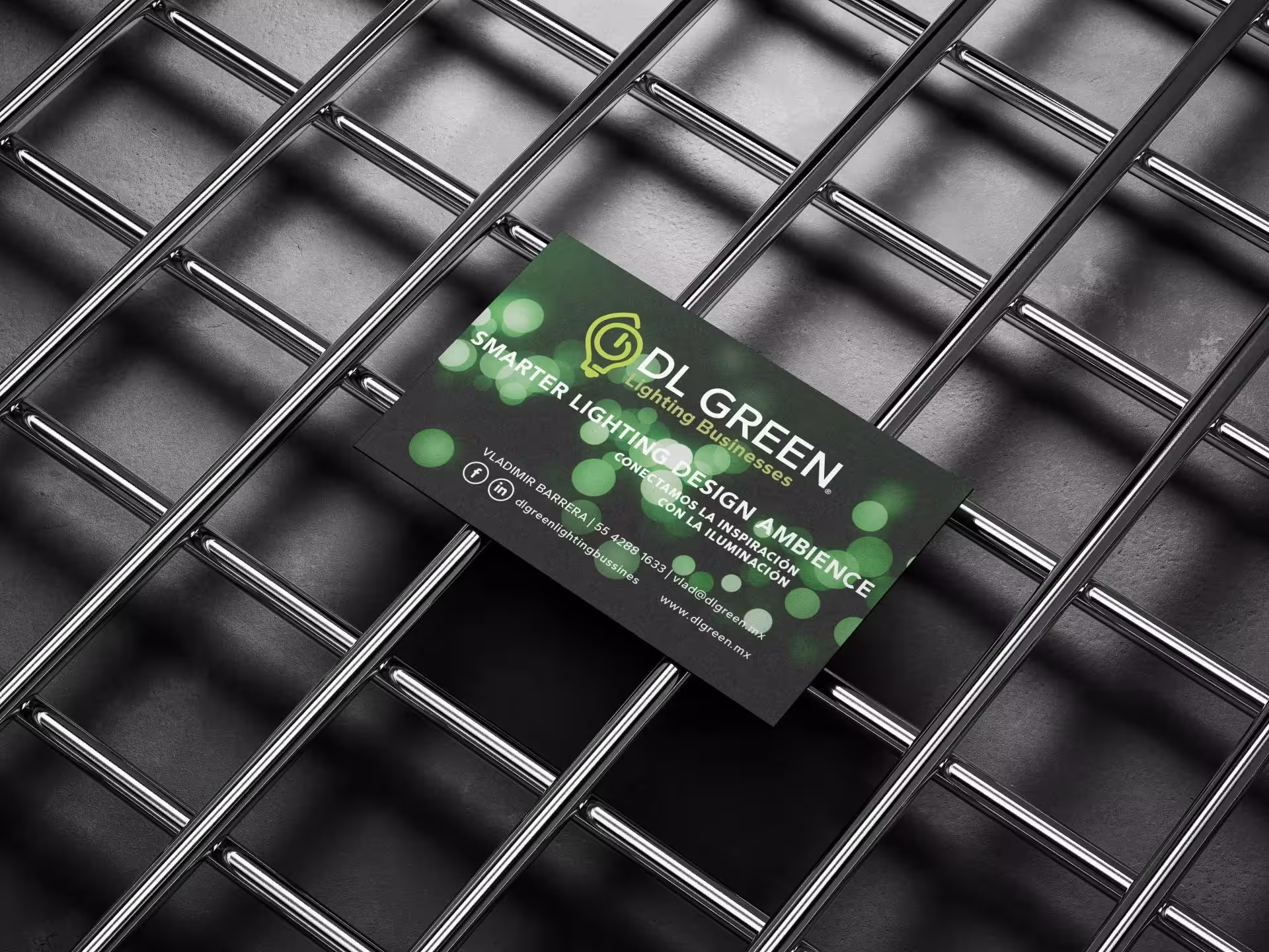 desarrollo de marca -dlgreen1