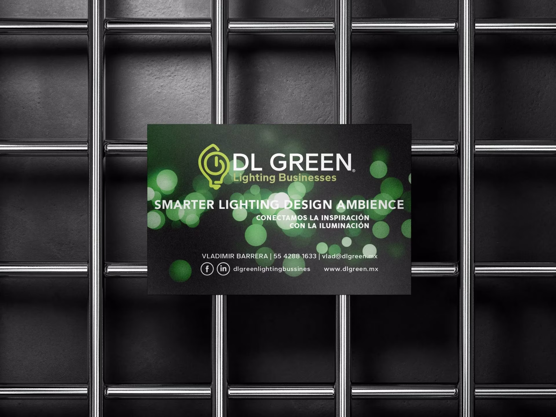 desarrollo de marca-dlgreen2